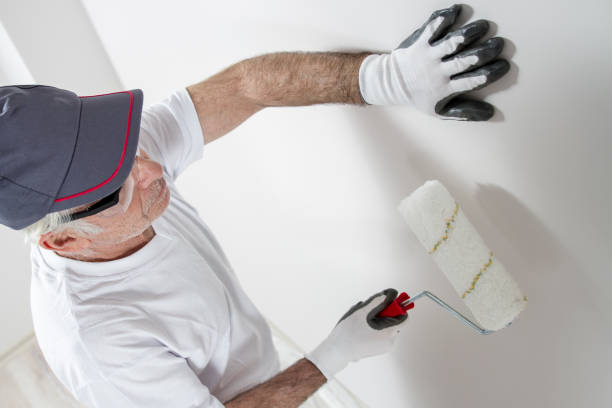  Chenoa, IL Mold Removal Pros