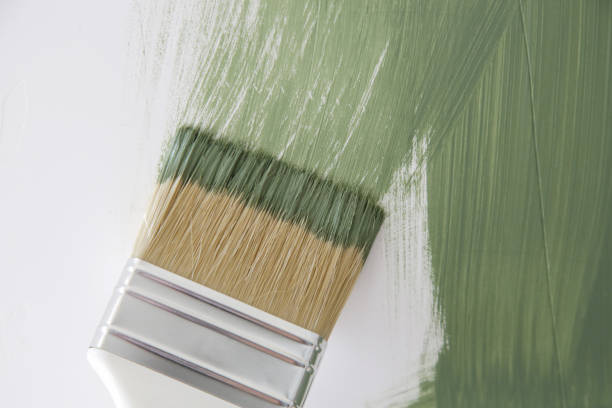  Chenoa, IL Mold Removal Pros