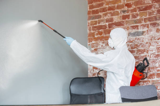 Best Residential Mold Inspection & Testing  in Chenoa, IL