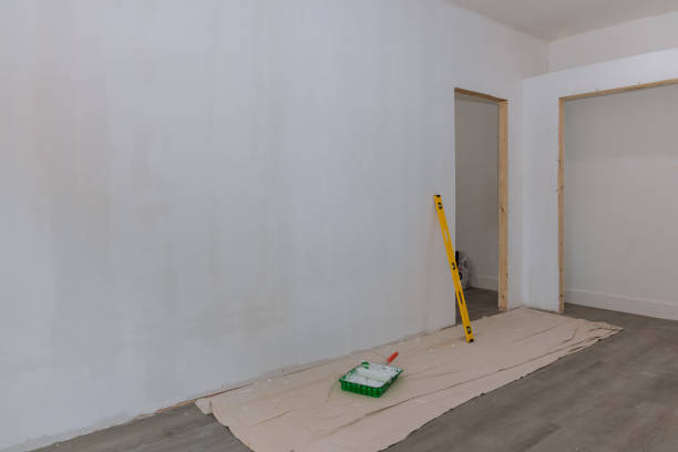 Chenoa, IL Mold Removal Company