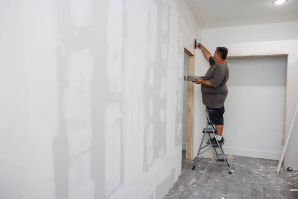 Best Airborne Mold Testing  in Chenoa, IL