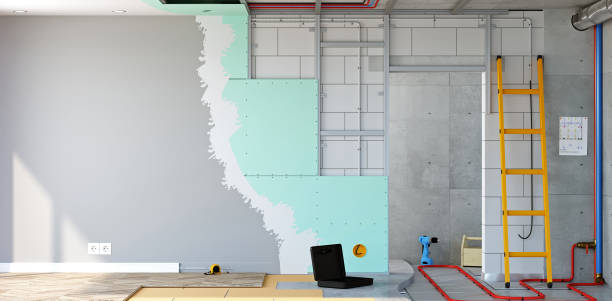 Best Mold Odor Removal Services  in Chenoa, IL