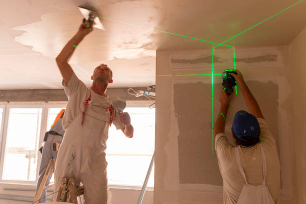 Biohazard Mold Removal in Chenoa, IL