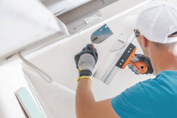 Mold Odor Removal Services in Chenoa, IL